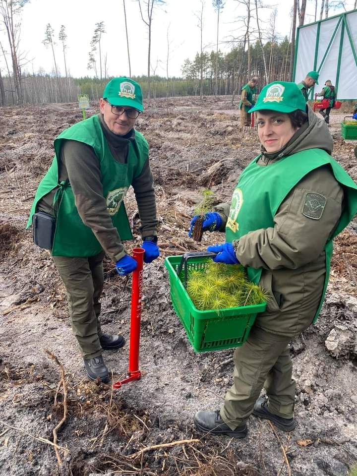 Голова обласної ради взяв участь у висадці лісу на території Ігнатпільського лісництва