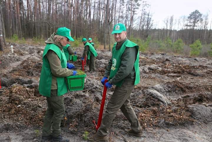 Голова обласної ради взяв участь у висадці лісу на території Ігнатпільського лісництва