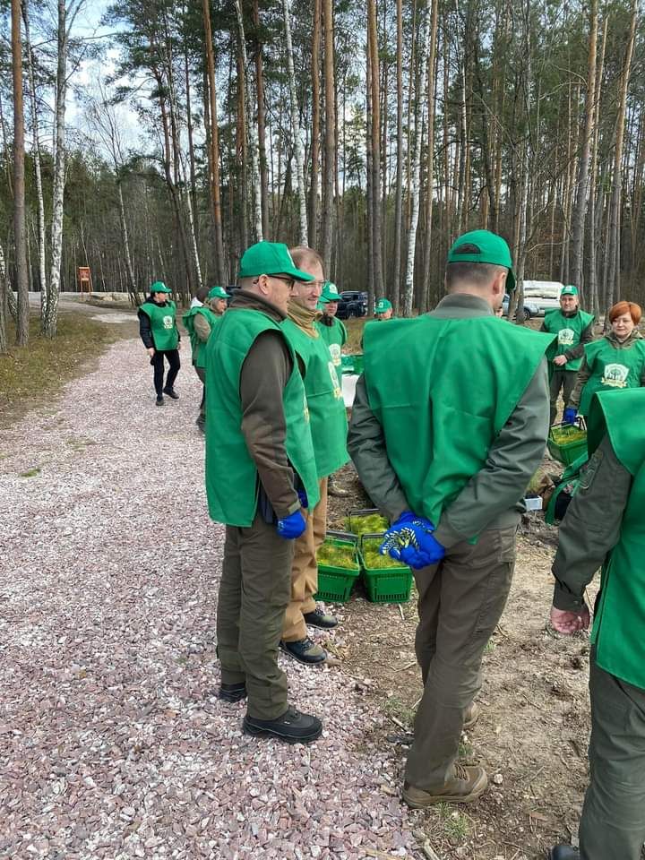 Голова обласної ради взяв участь у висадці лісу на території Ігнатпільського лісництва