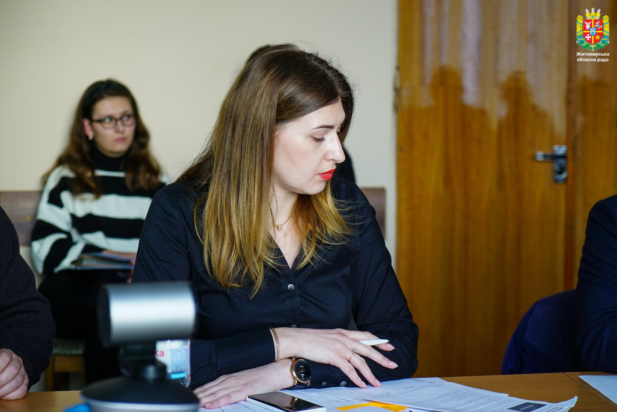 Депутати завершили роботу у профільних комісіях