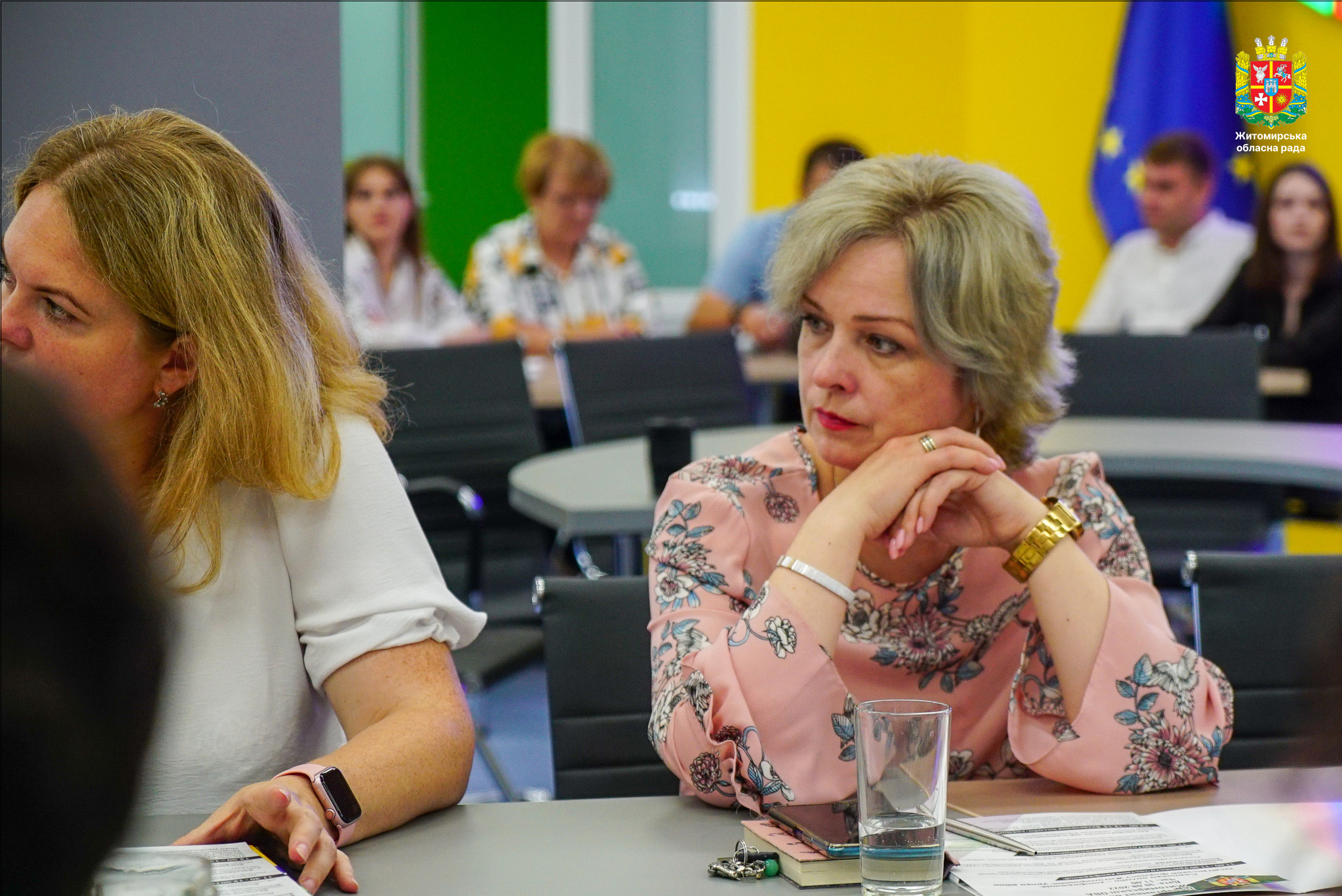 Володимир Ширма взяв участь в онлайн-конференції "Освітянський форпост: уроки війни"