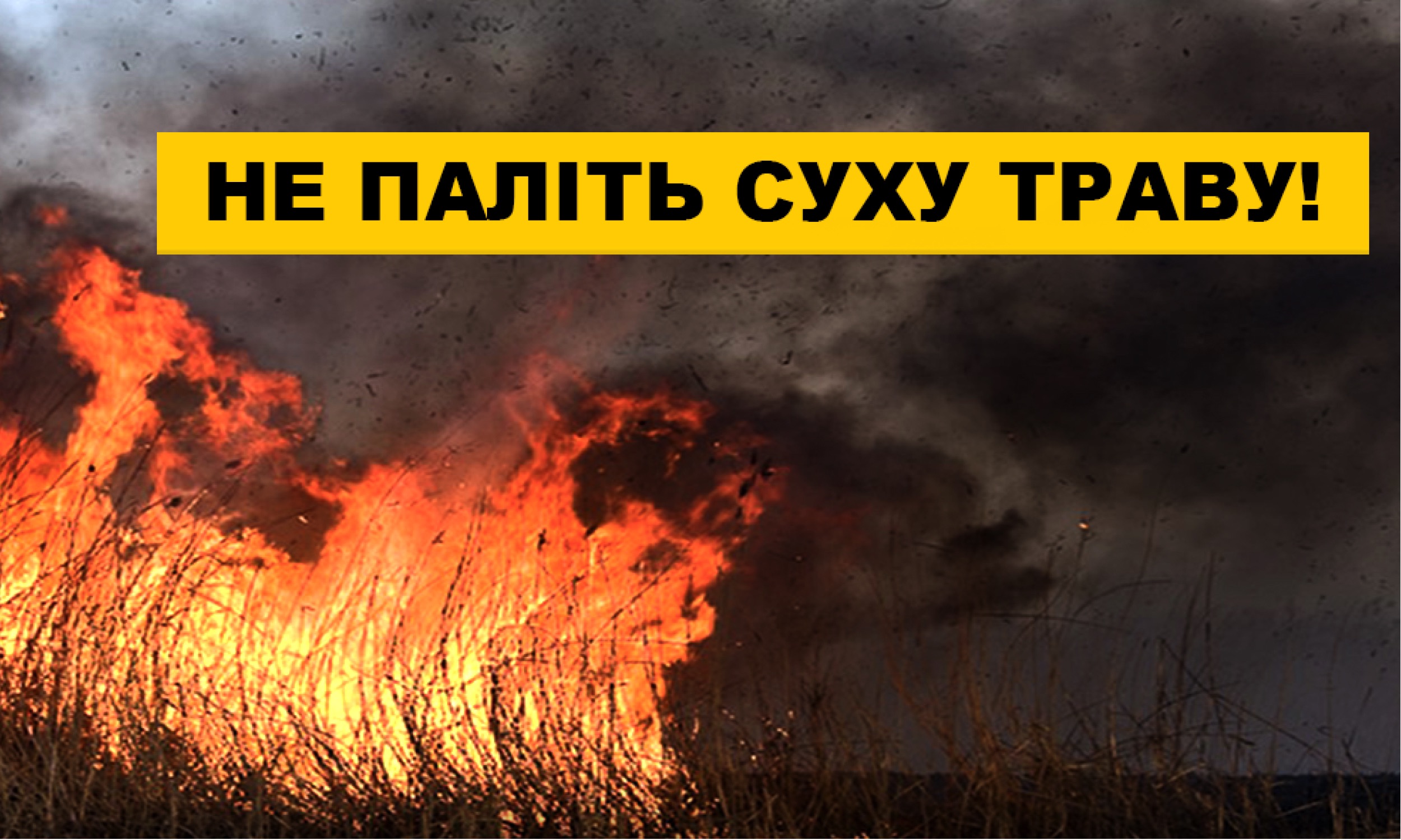 ДСНС: Не допомагайте ворогу — не випалюйте суху рослинність!