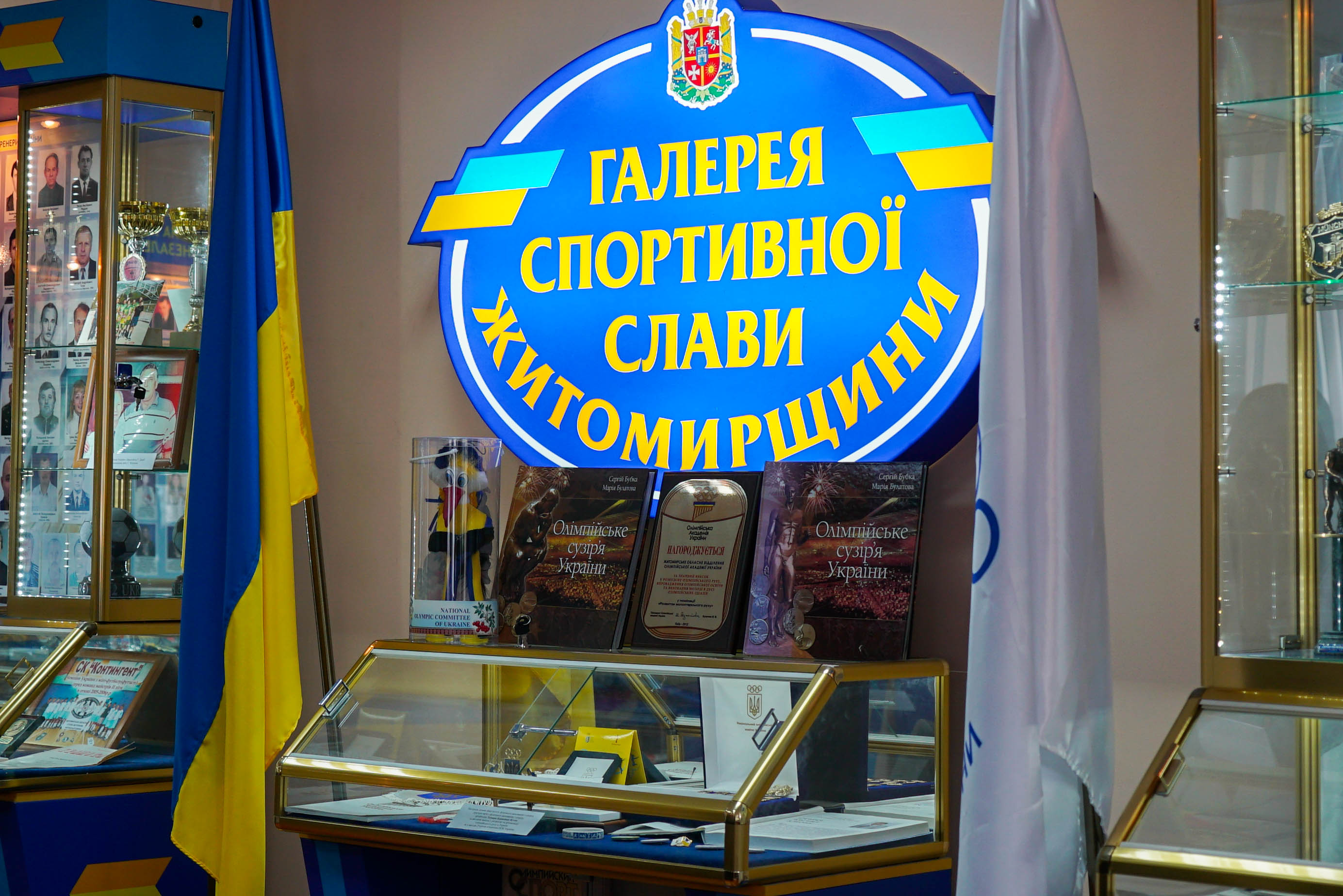 Володимир Ширма взяв участь у засіданні виконкому відділення НОК України в Житомирській області