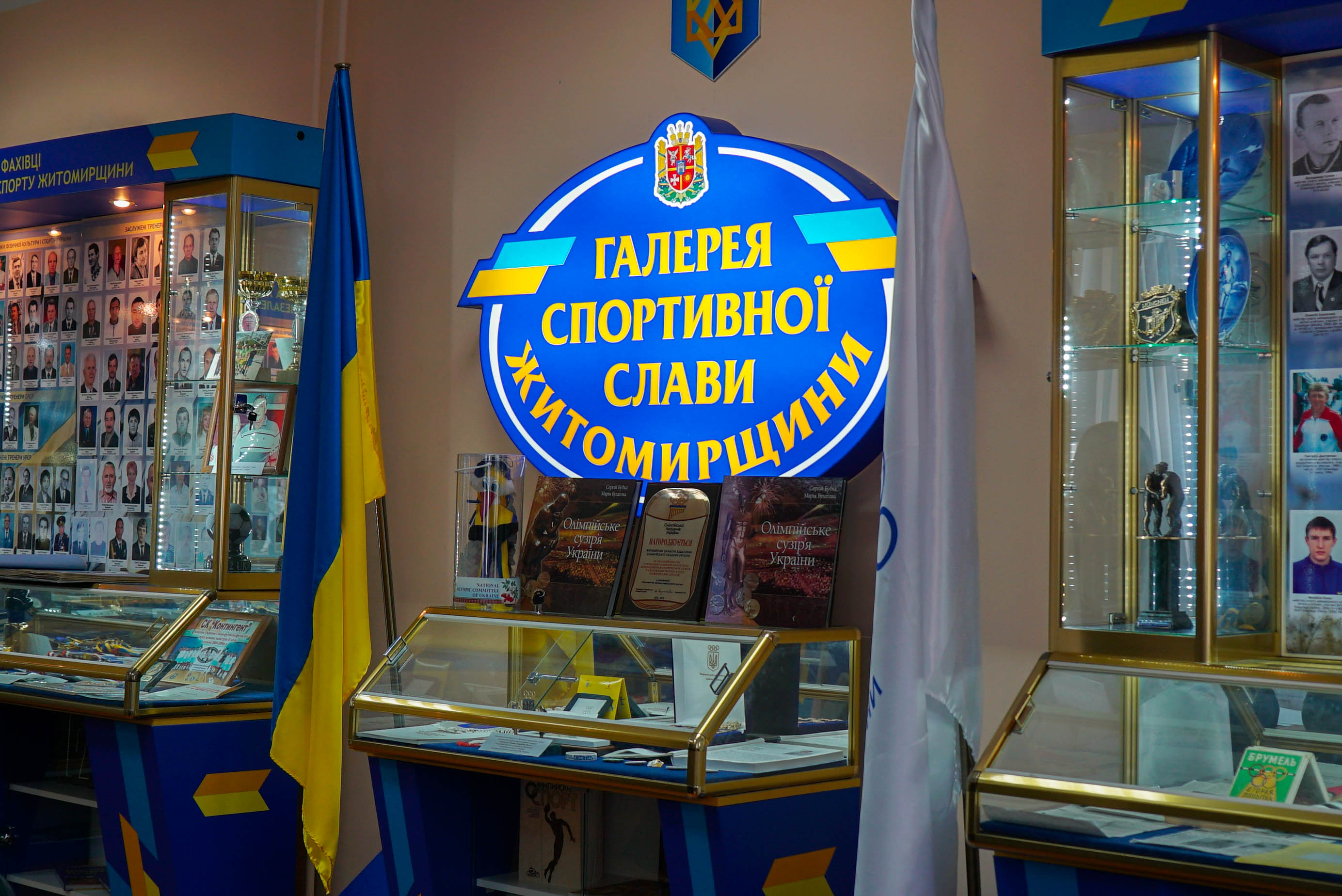 Володимир Ширма взяв участь у засіданні виконкому відділення НОК України в Житомирській області