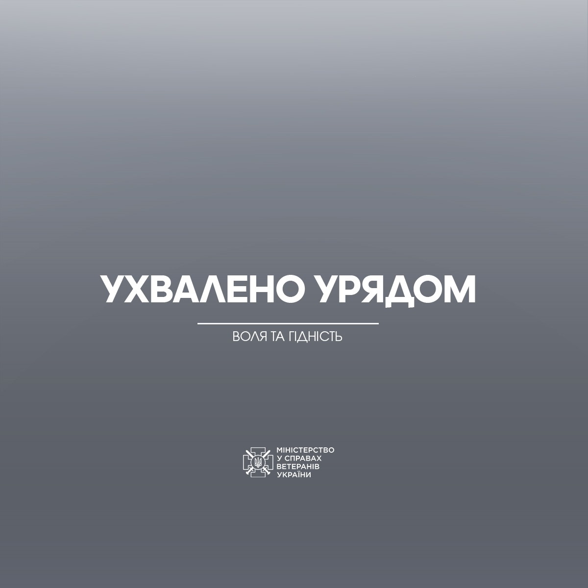Мінветеранів: Уряд схвалив методичні рекомендації щодо надання адмінпослуг ветеранам та їхнім родинам
