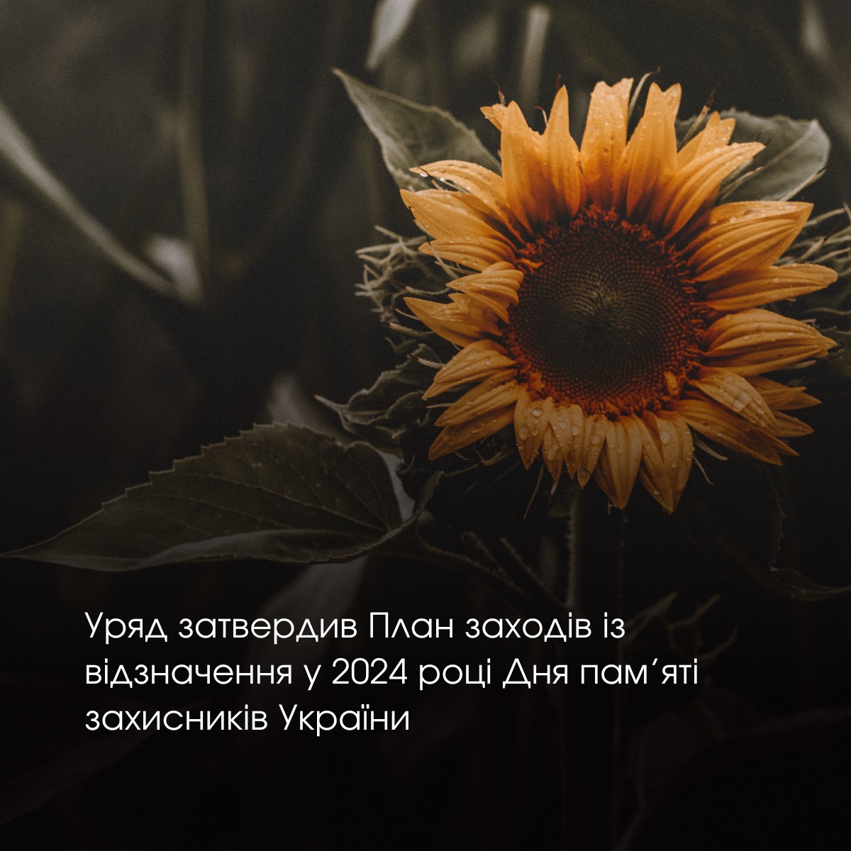 Уряд затвердив План заходів із відзначення у 2024 році Дня пам’яті захисників України