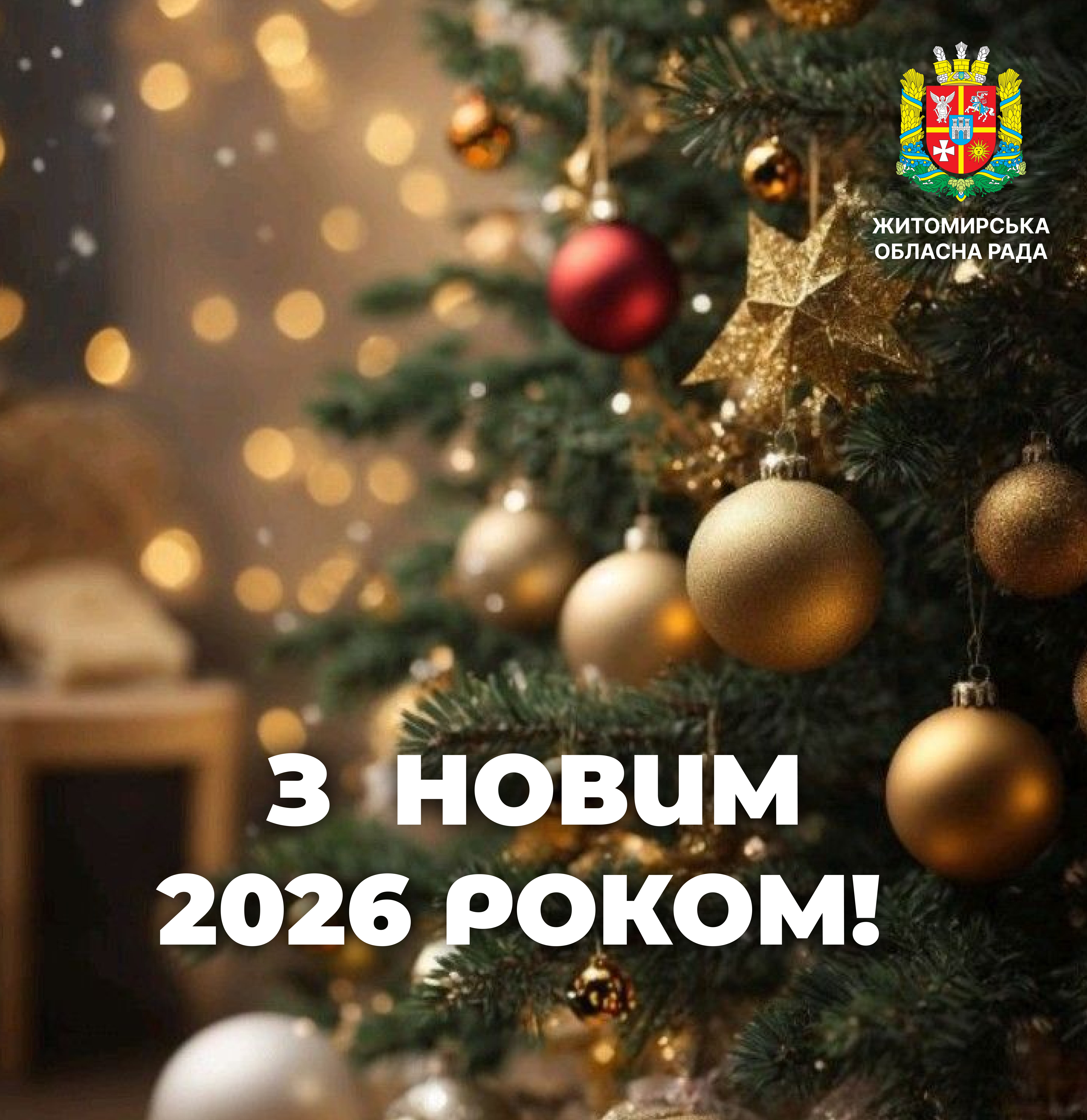 Привітання першого заступника голови Житомирської обласної ради Олега Дзюбенка з Новим роком