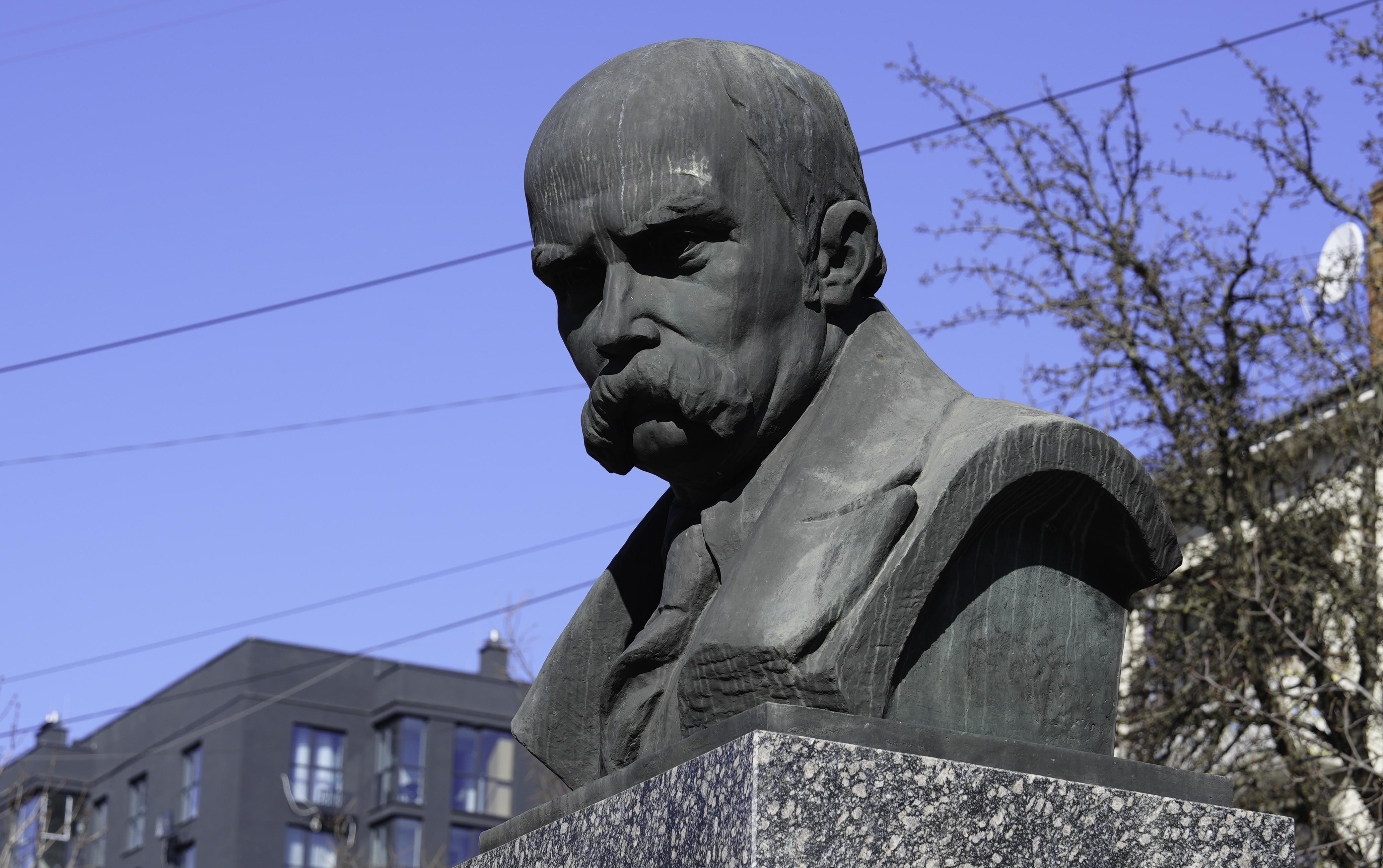 «Борітеся — поборете!»: Житомирщина вшанувала пам’ять Кобзаря