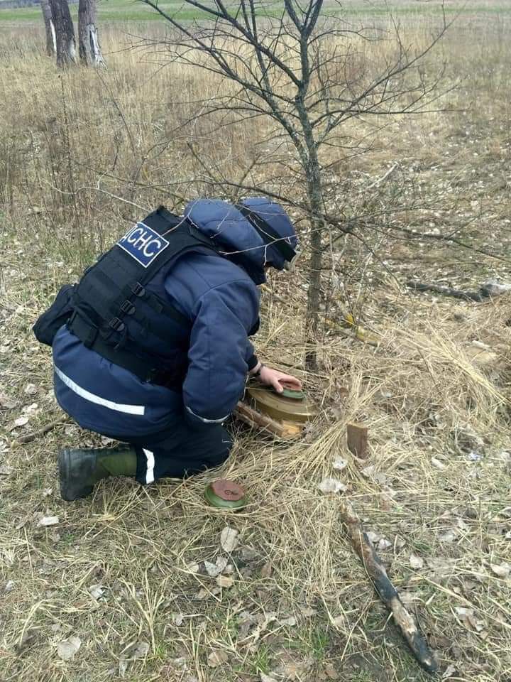 Тривають роботи з розмінування території Житомирської області